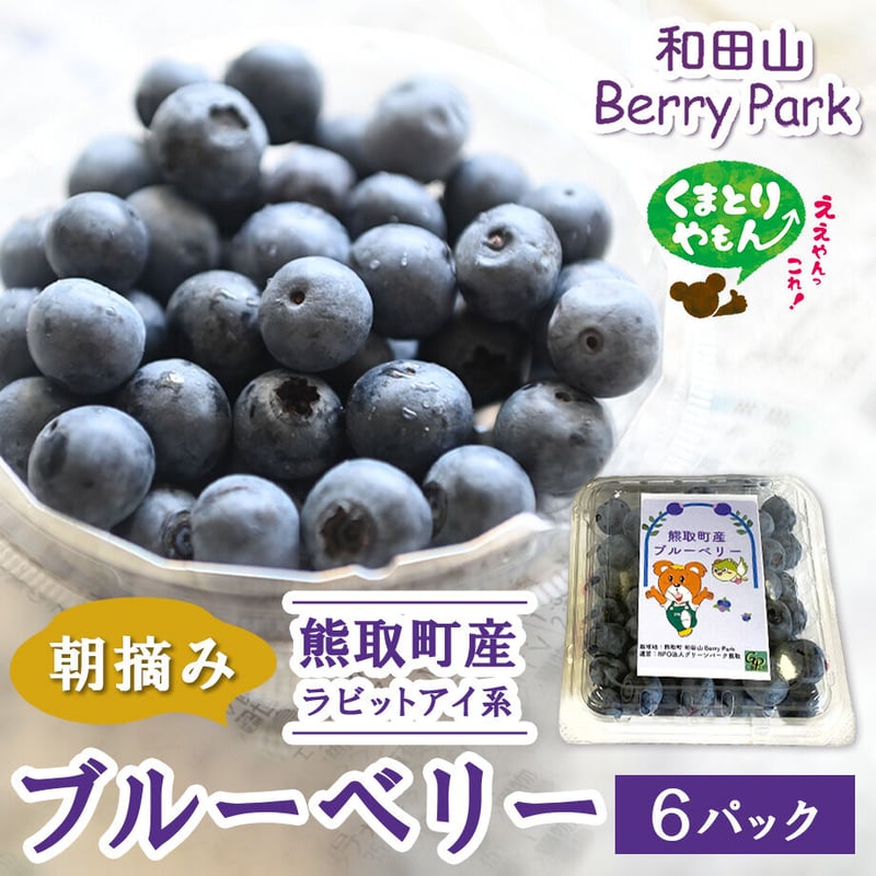 送料込]産地直送！朝摘みブルーベリー(6パック)【和田山Berrypark