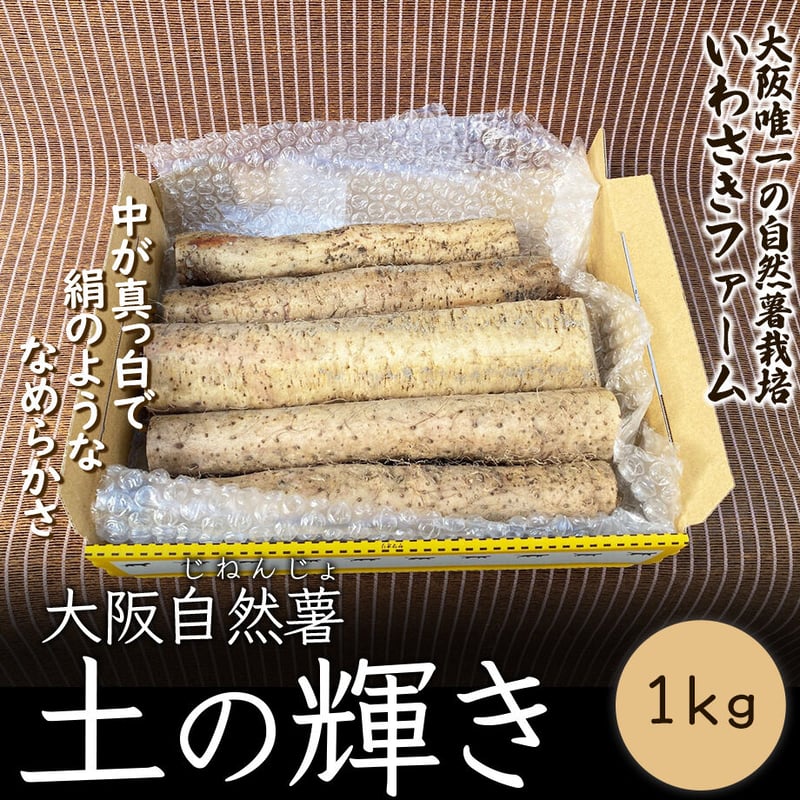 送料込]泉南郡熊取町産自然薯「土の輝き」(ご自宅用)(1kg)【いわさき