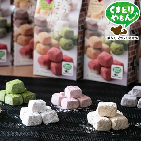 [送料込] 手作り焼き菓子セット(17点)【パティスリー ル・プルニエ】