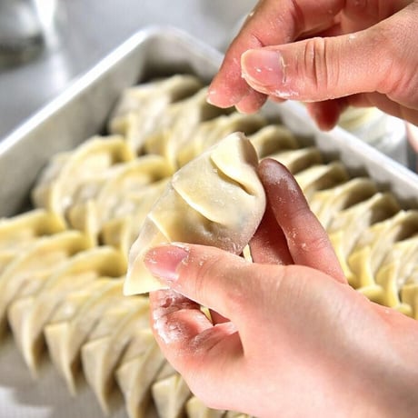 [送料込]パーティや贈り物におすすめ！詰合せ餃子セット (4種 各18個)【ぎょーざやさん】