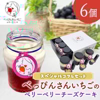 [送料込]"べっぴんさんいちご"のベリーベリーチーズケーキ スペシャルコフレセット(6個)【いずみ小川いちご農園】
