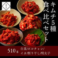 [送料込]キムチ5種食べ比べセット(510g)【白雲台】
