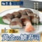 [送料込]黄金の鯖寿司<上>(2～3人前)【柚子香】