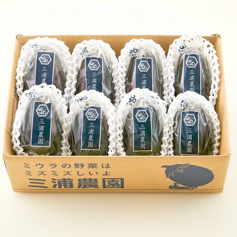 送料込] 農園直送！朝採り極上 生水なす(8個)【三浦農園】 | コネクト