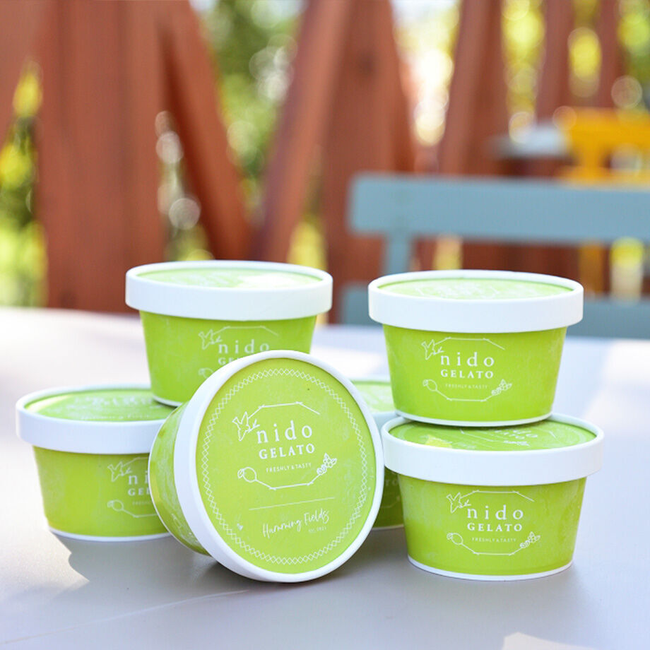 送料込]熊取産ブルーベリー使用「Nido GELATO」ブルーベリーヨーグルト