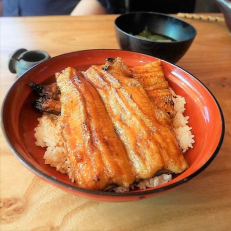 [送料込]朝じめ活鰻 特選(2尾)【炭火焼 寝床】