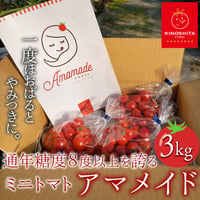 [送料込]通年糖度8度以上！ブランドミニトマト「アマメイド」3kg【キノシタファーム】