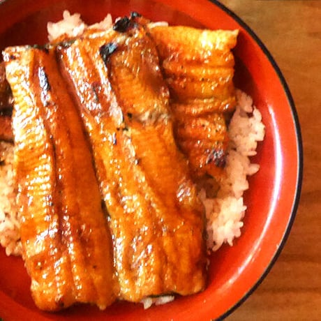 [送料込]朝じめ活鰻 特選(2尾)【炭火焼 寝床】