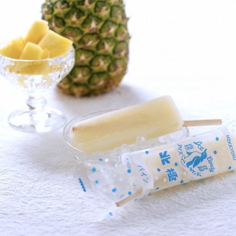 [送料込]北極 アイスキャンデー ファミリーセット (6種 計28本)【北極】