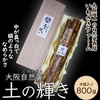 [送料込]大阪自然薯「土の輝き」木箱入り 大阪府熊取町産自然薯(800g)【いわさきファーム】