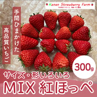 [送料込]MIX(サイズ、形いろいろ) 紅ほっぺ(300g)【河南いちご農場】