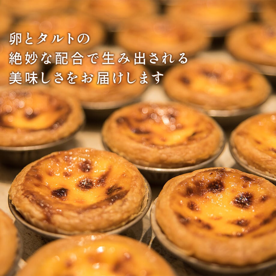 62afd3fbc359a830ecc931b8