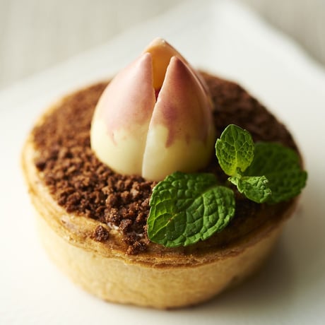 [送料込]フラワーキッシュ 「スプリングセット」(4種)【FlowerQuiche】