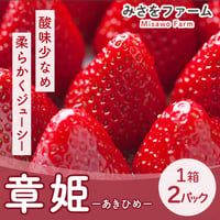 [送料込]酸味が少なくてジューシーないちご 章姫-あきひめ-(1箱 2パック)【みさをファーム】
