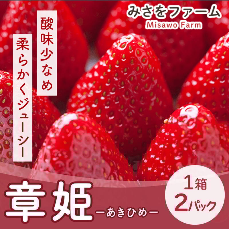 いちごさん専用 icgs02.jpg