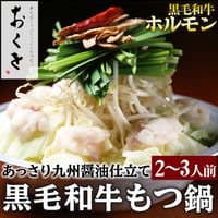 [送料込]おくをの黒毛和牛もつ鍋(2～3人前)【おくを】