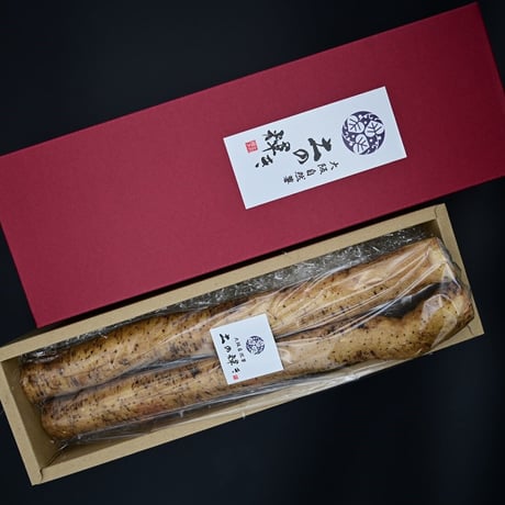 [送料込]大阪自然薯「土の輝き」葡萄色の箱入り 大阪府熊取町産自然薯(400g)【いわさきファーム】