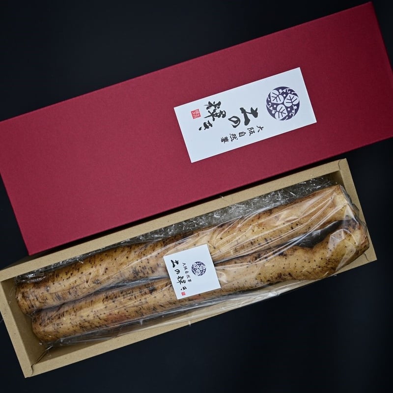 送料込]大阪自然薯「土の輝き」葡萄色の箱入り 大阪府熊取町産自然薯