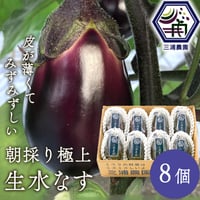 [送料込] 農園直送！朝採り極上 生水なす(8個)【三浦農園】
