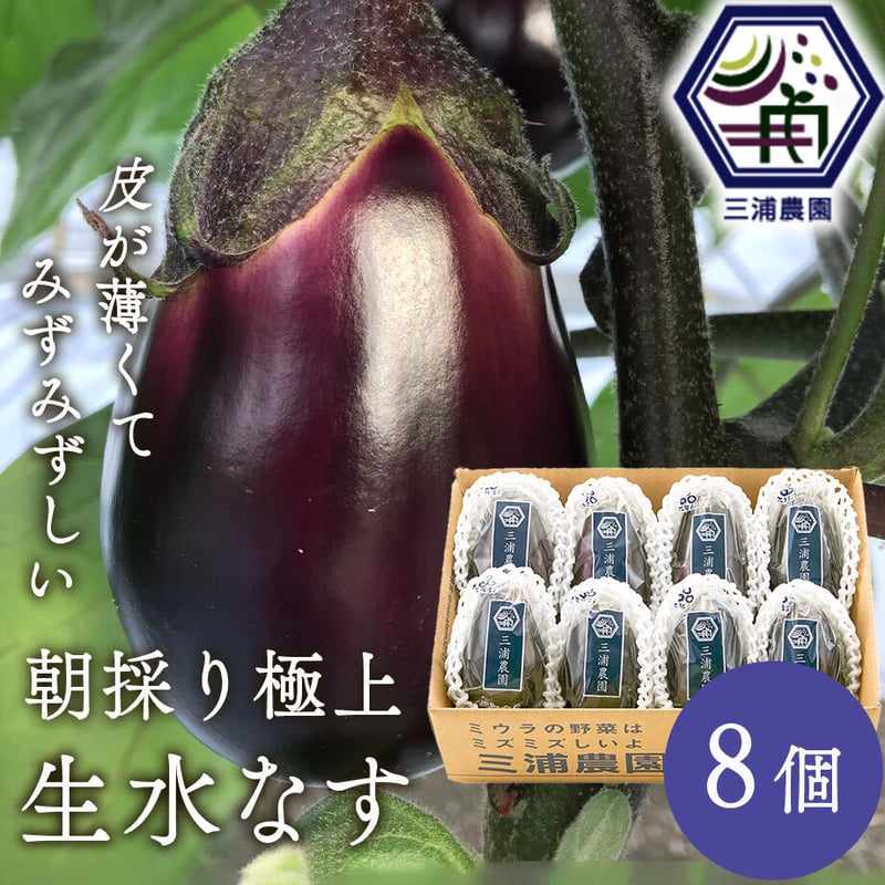 送料込] 農園直送！朝採り極上 生水なす(8個)【三浦農園
