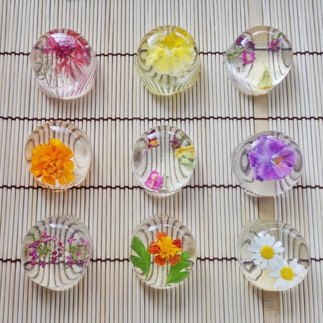 [送料込] カラフルで美しい伝統菓子 フラワー錦玉(10個)【御菓子司つくし】