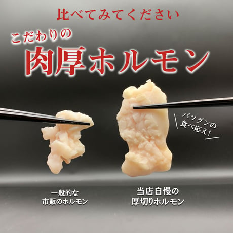 [送料込]【スープ増量中！】塩もつ鍋セット(3〜4人前)【志可゛（しが）】