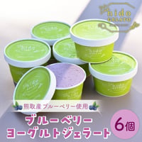 [送料込]熊取産ブルーベリー使用「Nido GELATO」ブルーベリーヨーグルト(6個)【Humming Fields】