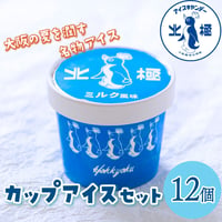 [送料込] 北極 カップアイスセット(12個)【北極】
