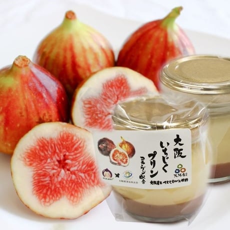 [送料込][予約販売]大阪いちじくプリン(5個)【はっぴいおかん】