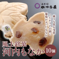 [送料込] 大阪産(もん）名品 風土銘菓 河内もなか（10個）【かつら屋】