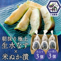 [送料込] 農園直送！朝採り極上 生水なす(3個)と米ぬか漬け(3個)【三浦農園】