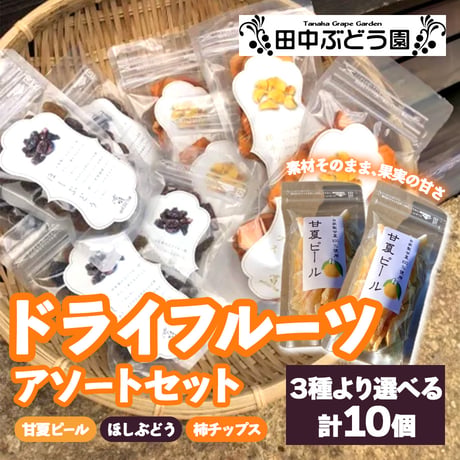 [送料込]ドライフルーツアソートセット(3種より選べる 計10個)【田中ぶどう園】