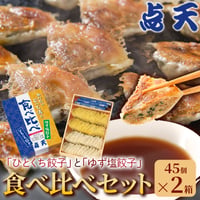 [送料込] 大阪土産の定番「ひとくち餃子・ゆず塩餃子食比べ セット」(45個×2箱)【点天】