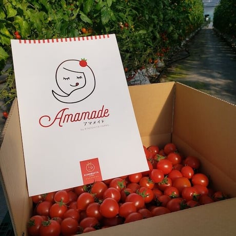 [送料込]通年糖度8度以上！ブランドミニトマト 「アマメイド」100％トマトジュース(5本)【キノシタファーム】