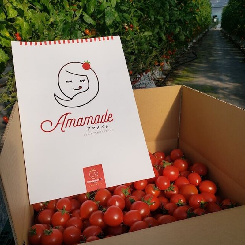 送料込]通年糖度8度以上！ブランドミニトマト 「アマメイド」100