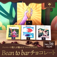 [送料込] Bean to barチョコレート(3種計3枚)【CHOCO FOREST】