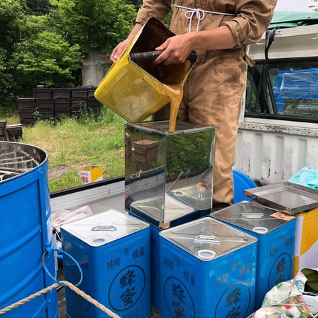 [送料込]熊取産 なまはちみつ(180g×4本)【柴田養蜂場】