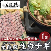 [送料込] <大阪産>鰻本来の味アレンジ無限大の生ウナギ (1尾)【れいわ水産】