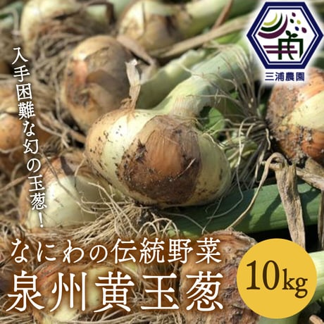 [送料込] なにわの伝統野菜『泉州黄玉葱』(10kg)【三浦農園】