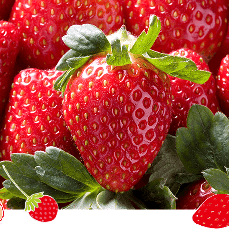 送料込]紅ほっぺ・章姫-あきひめ-食べ比べセット(1箱 2パック)【みさを