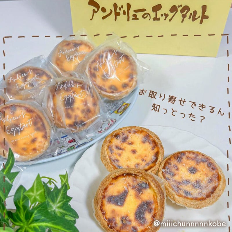 送料込]アンドリューのエッグタルト(9個)【アンドリュー】 | コネクト