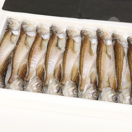 [送料込] 香住漁港直送「干ハタハタ」(18尾 約800g)【香住北よし】