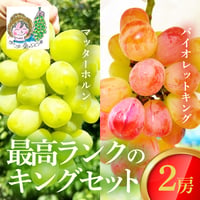 [送料込]8月下旬発送開始！最高ランクのキングセット(マッターホルン・バイオレットキング 2房)【あさつゆ 愛のぶどう園】