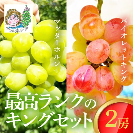 [送料込]8月下旬発送開始！最高ランクのキングセット(マッターホルン・バイオレットキング 2房)【あさつゆ 愛のぶどう園】