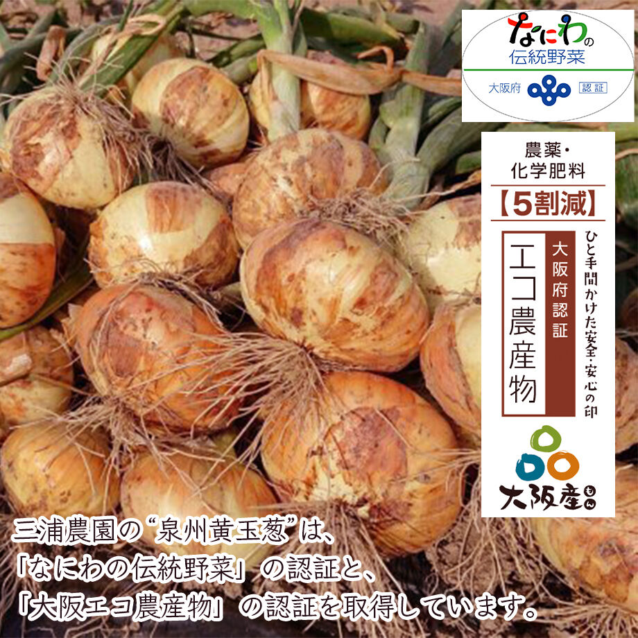 送料込] なにわの伝統野菜『泉州黄玉葱』(10kg)【三浦農園