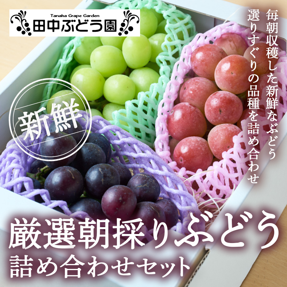 ぶどう農園直送⚠️さま用 vuvvセット 生産者おすすめ葡萄詰合せ