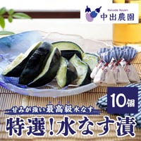 [送料込]農園直送！特選！水なす漬(和紙袋)(10個)【中出農園】