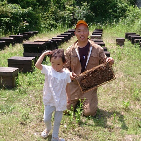 [送料込]熊取産 なまはちみつ(180g×4本)【柴田養蜂場】