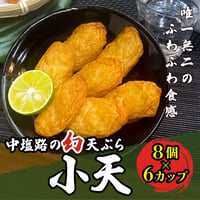 [送料込]ふわふわ食感 中塩路の幻天ぷら 小天(8個 計6カップ)【中塩路の天ぷら】