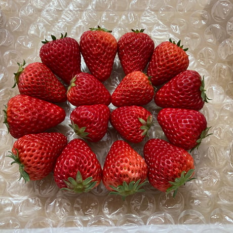 [送料込]MIX(サイズ、形いろいろ) 紅ほっぺ(300g)【河南いちご農場】